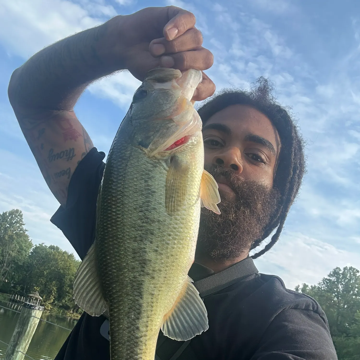 Largemouth bass caught on Fishbrain