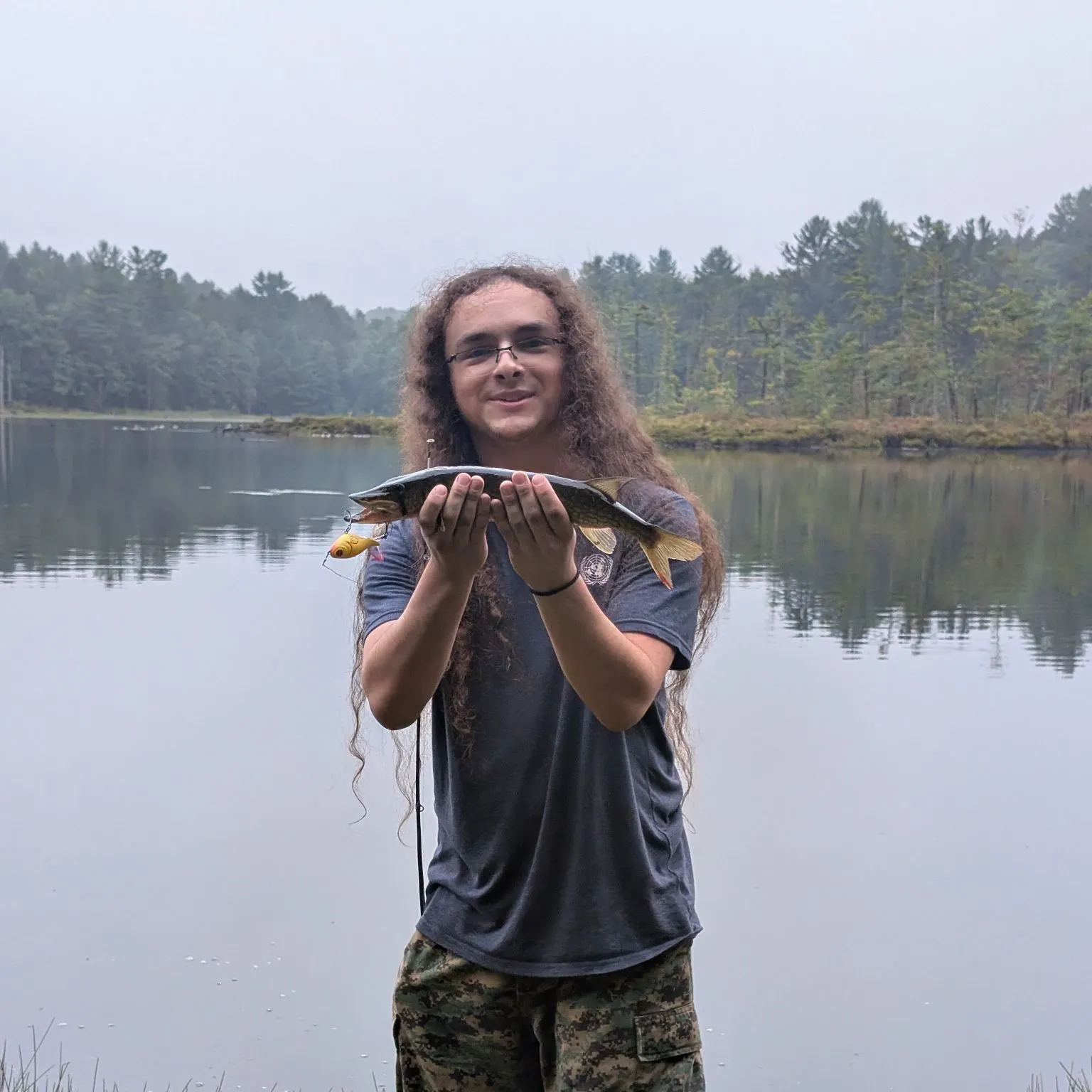 Chain pickerel caught on Fishbrain