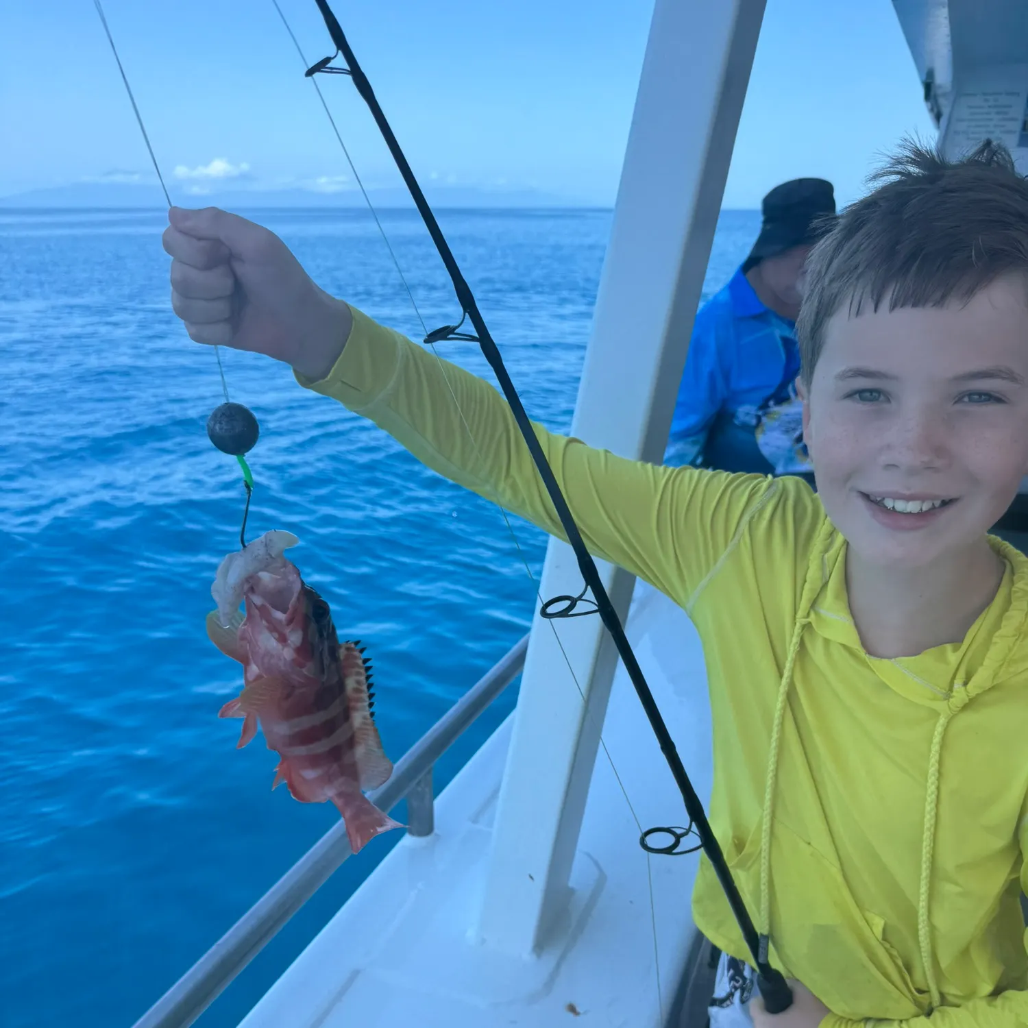 The most recent Blacktip grouper catches on Fishbrain