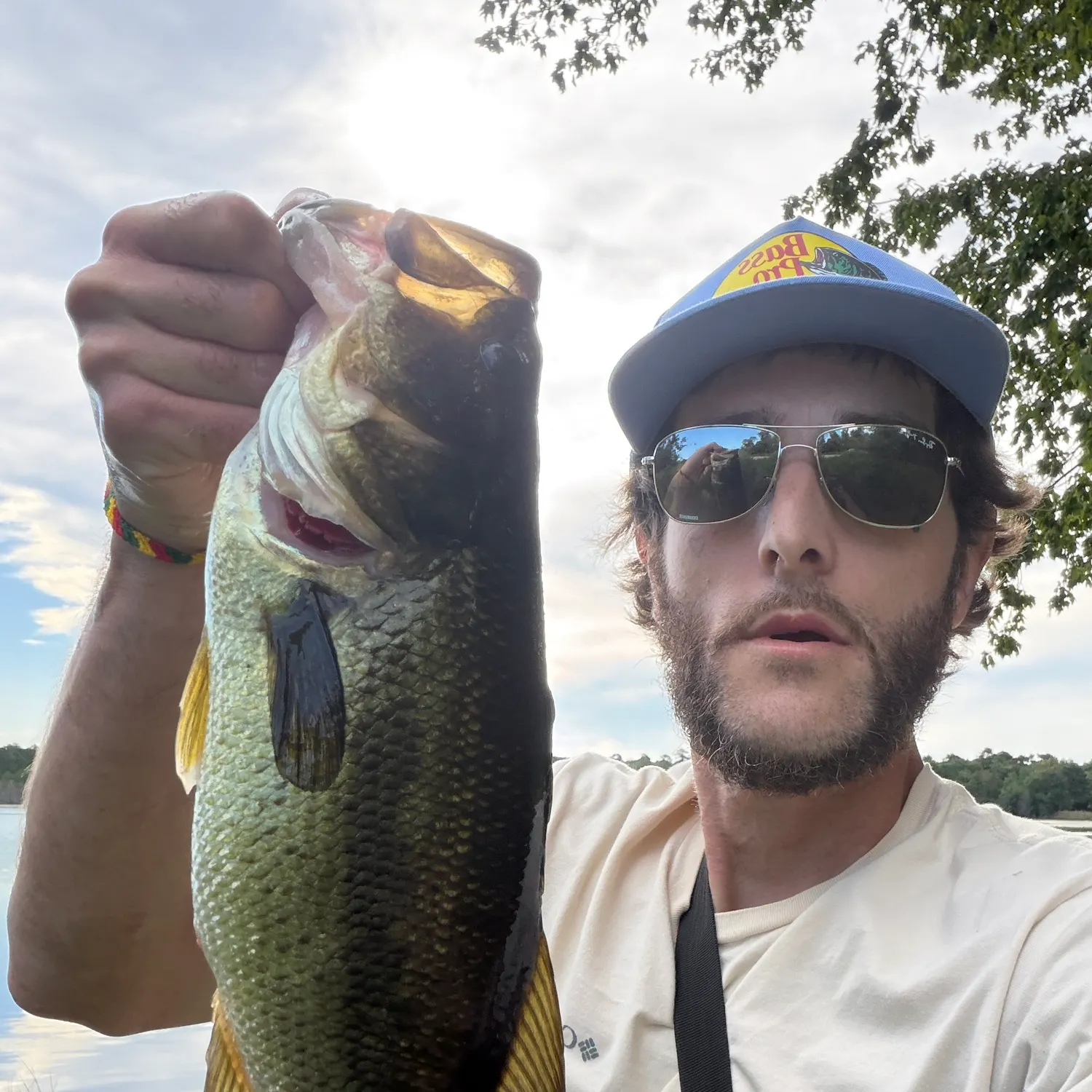 Largemouth bass caught on Fishbrain