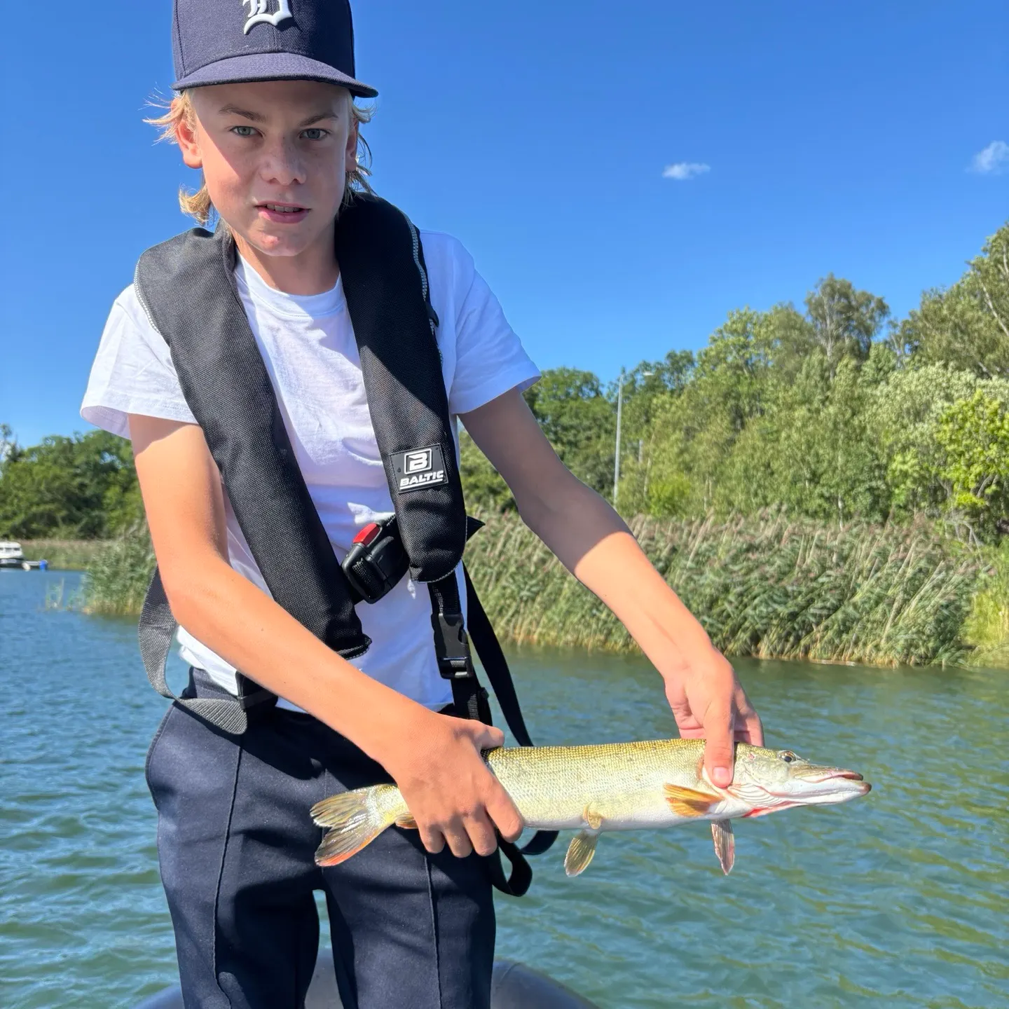 Northern pike caught on Fishbrain