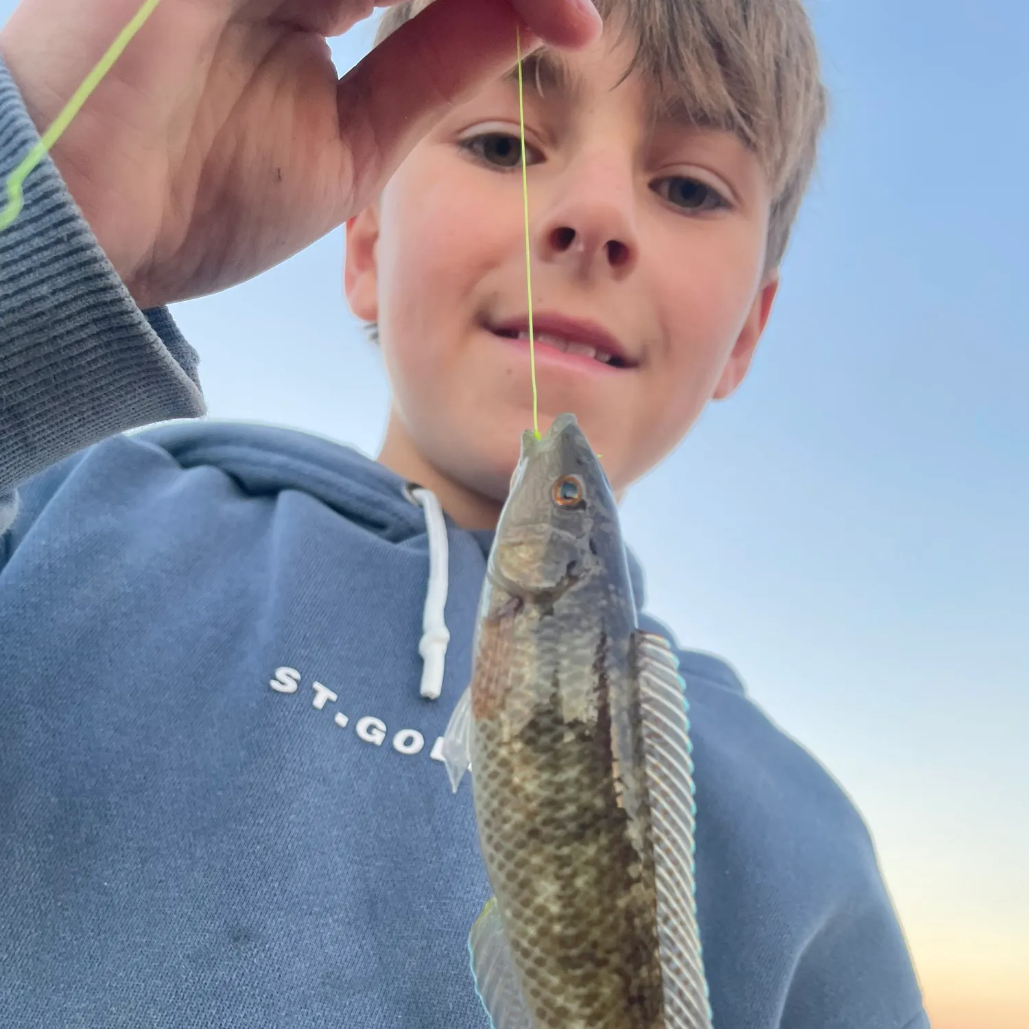 The most recent Blue weed whiting catches on Fishbrain