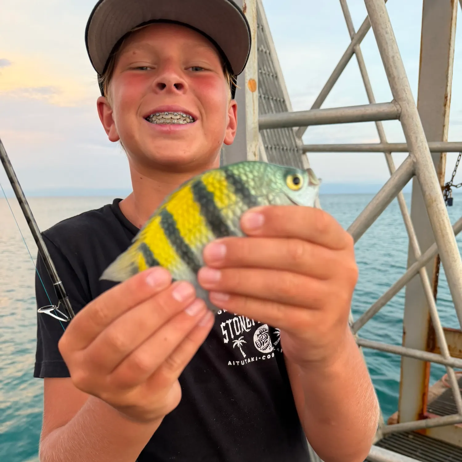 The most recent Panamic sergeant major catches on Fishbrain