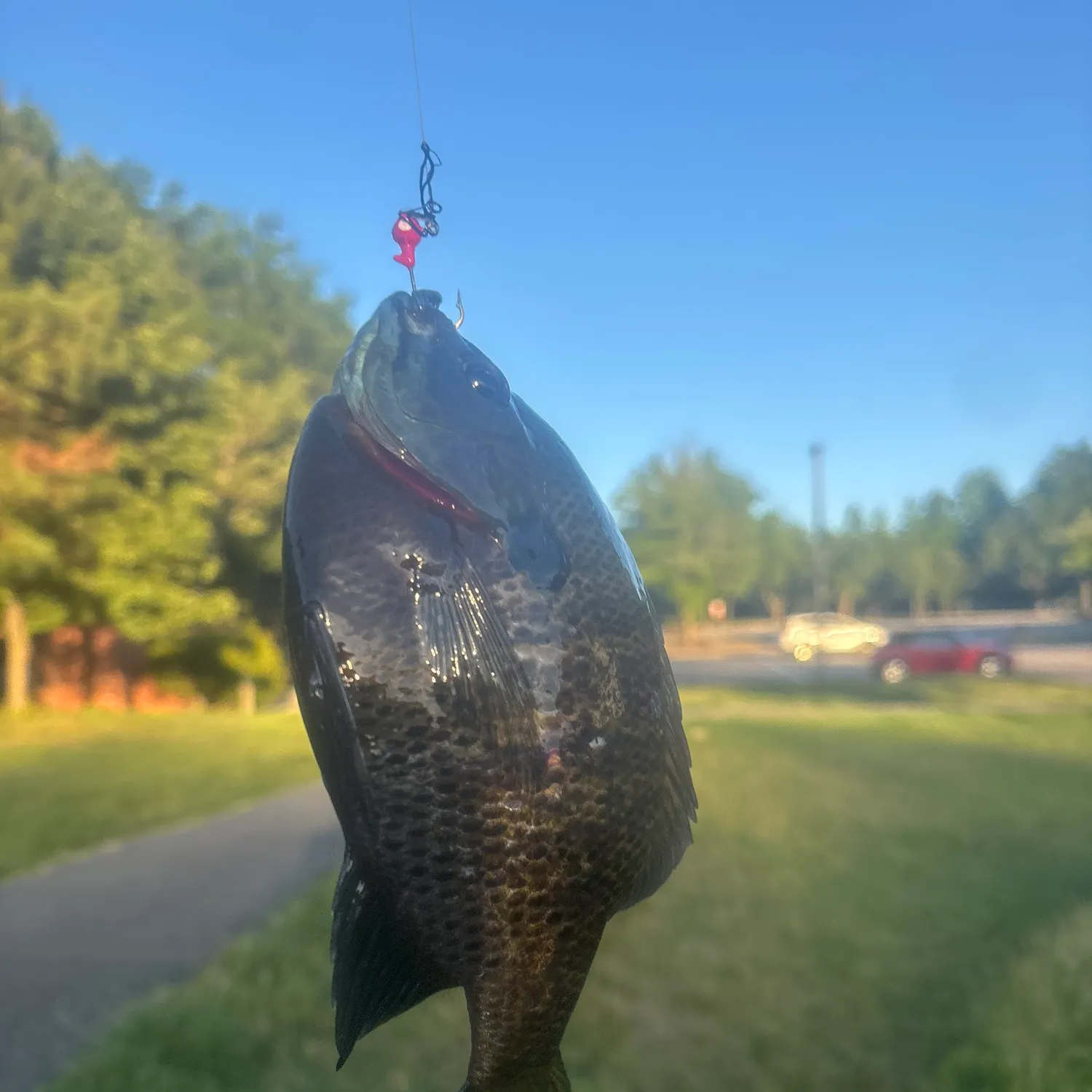 catch