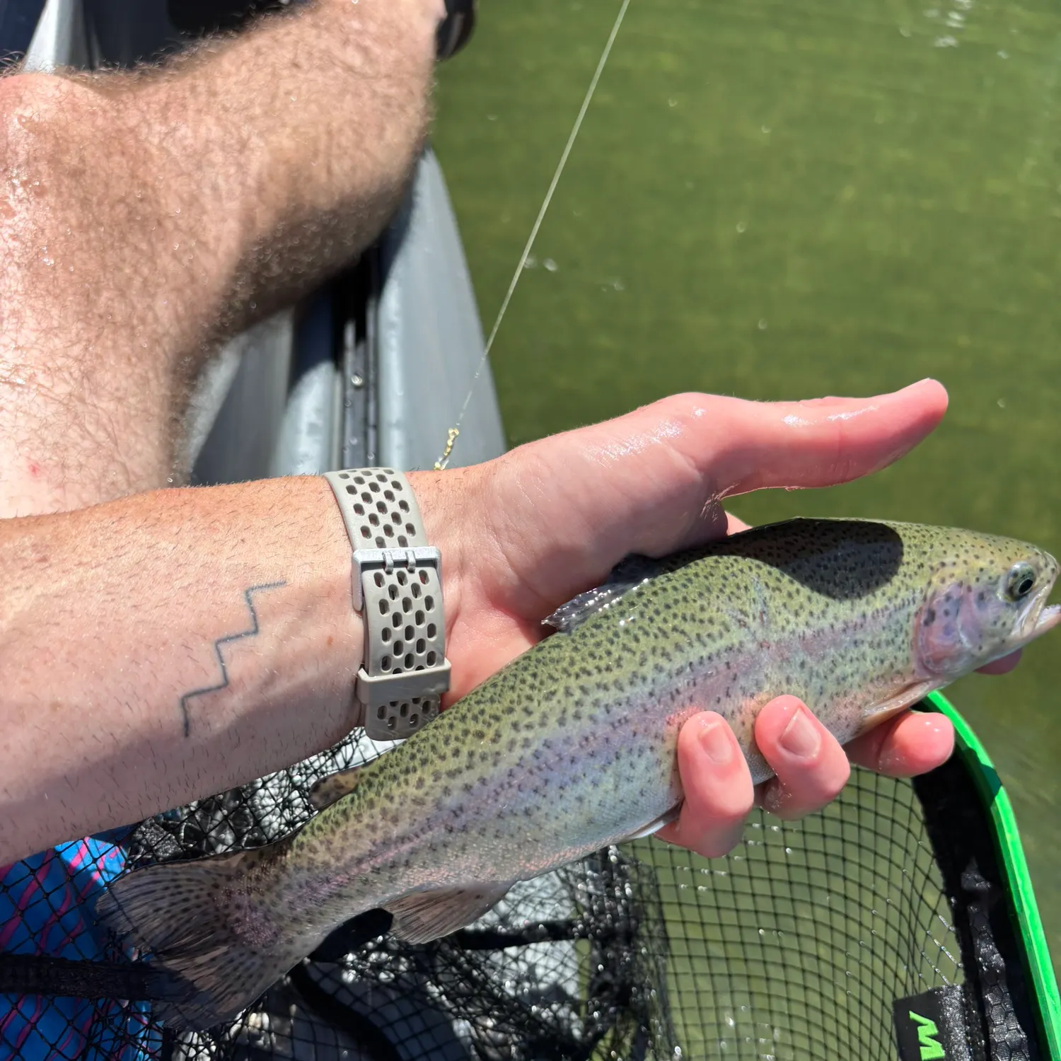 recently logged catches