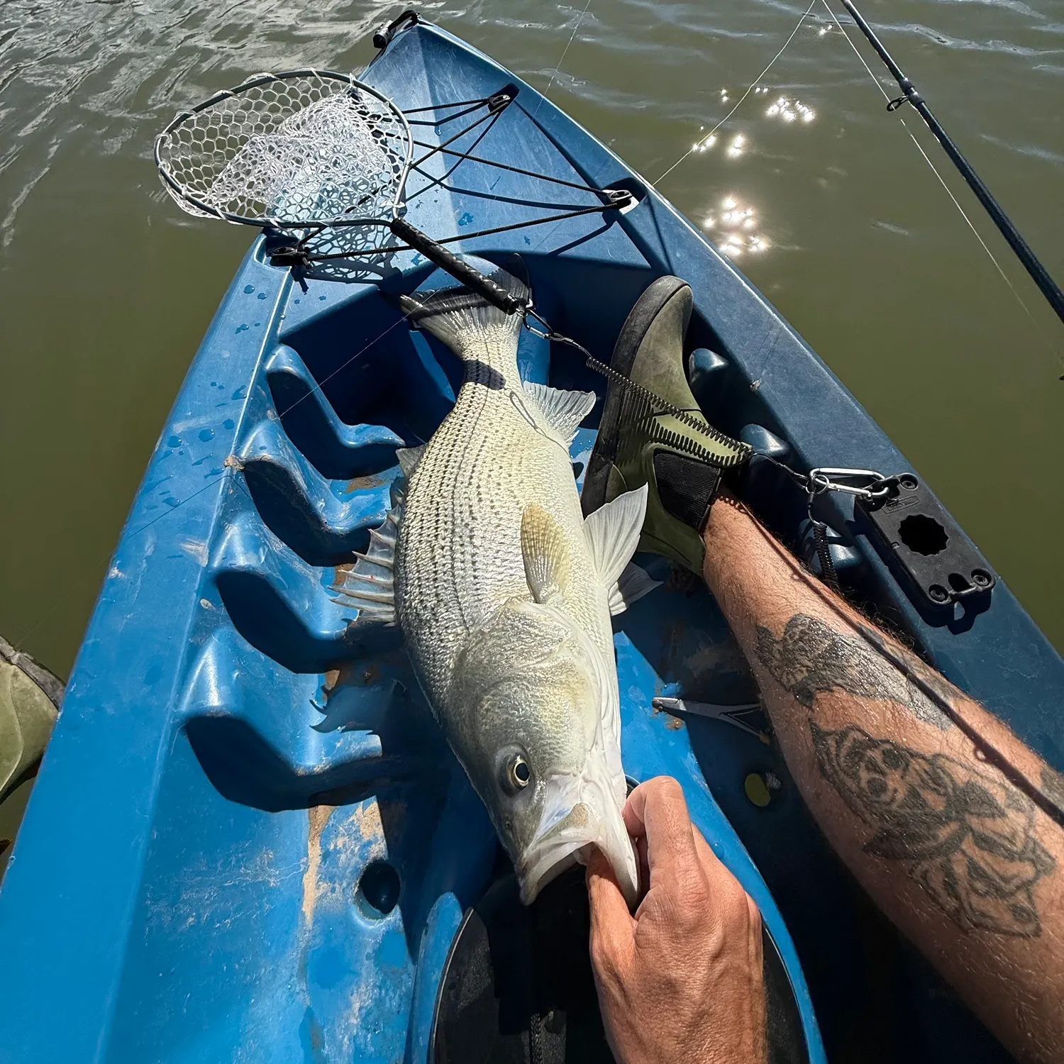 Wiper caught on Fishbrain