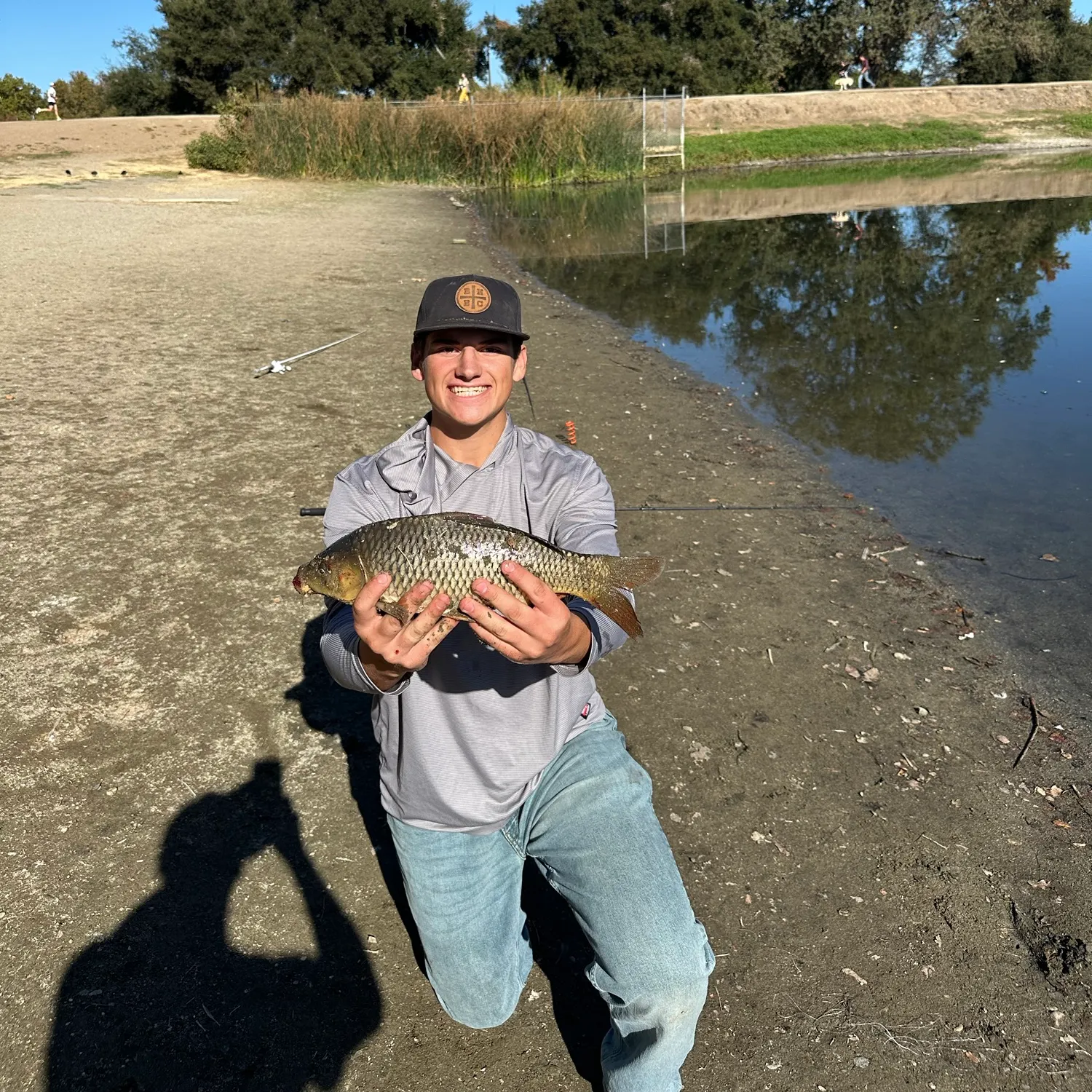Common carp caught on Fishbrain