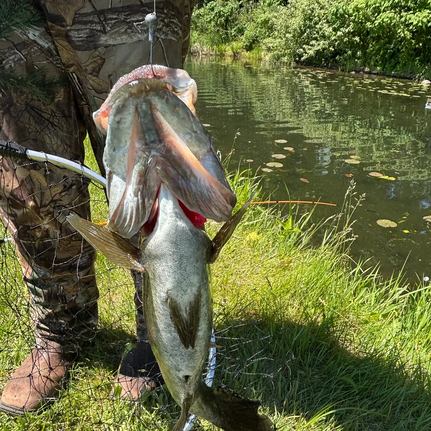 catch