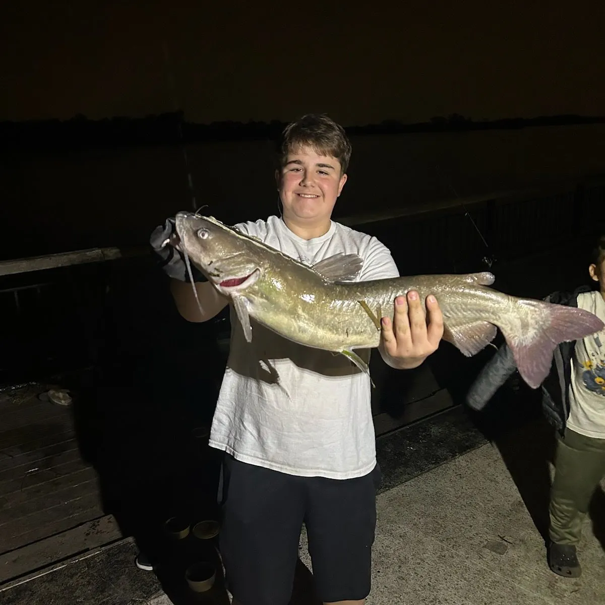 Channel catfish caught on Fishbrain