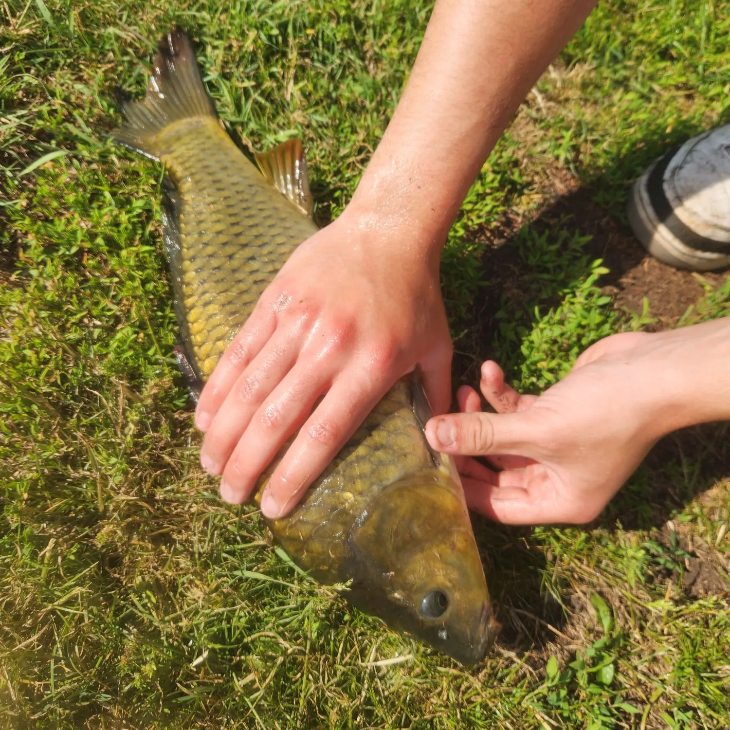 catch