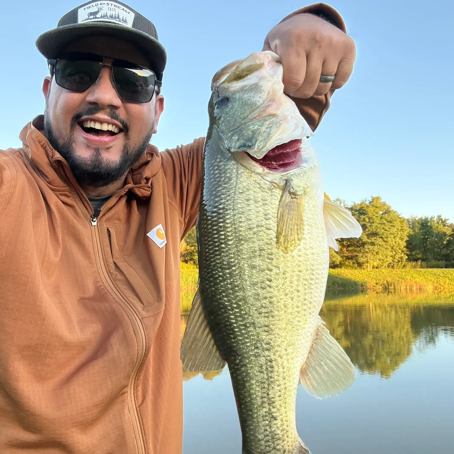 Largemouth bass caught on Fishbrain