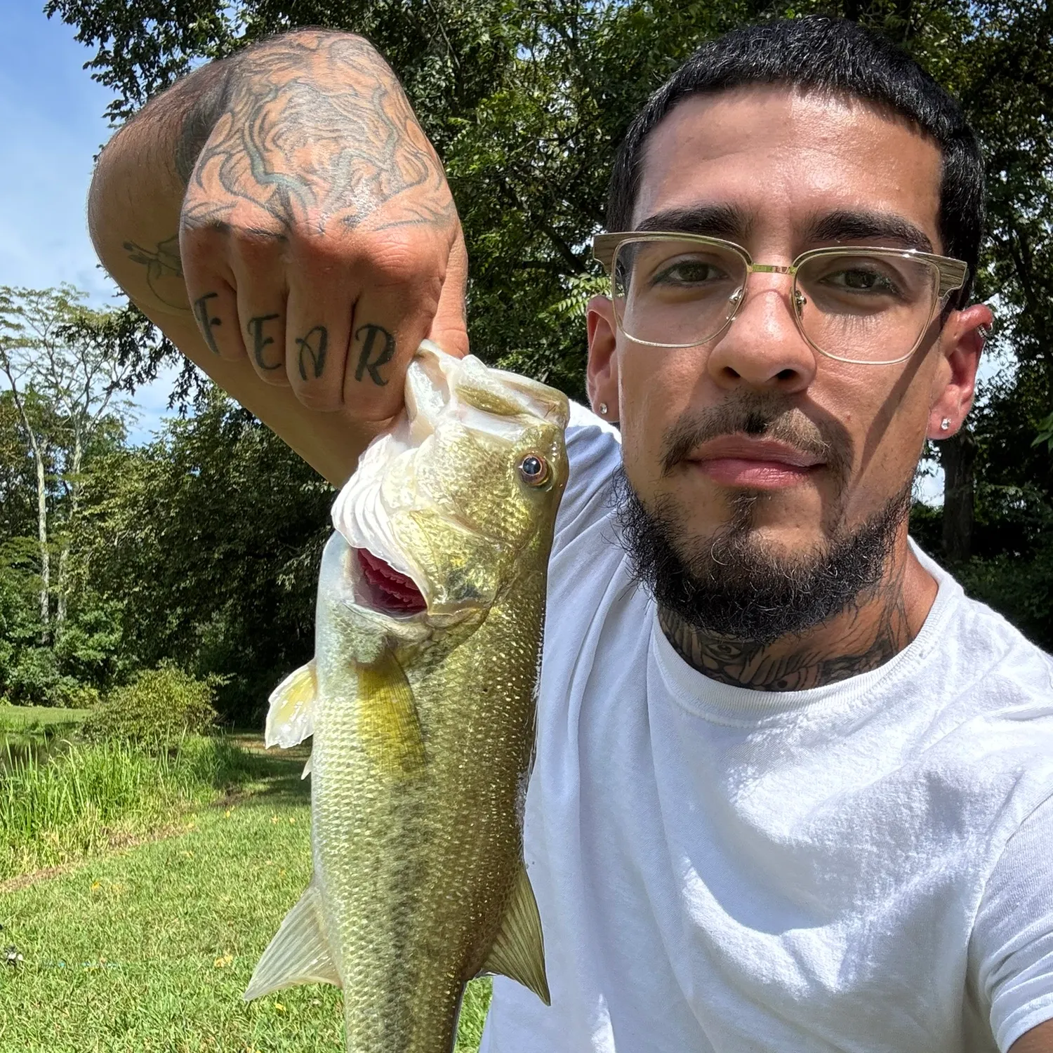 Largemouth bass caught on Fishbrain
