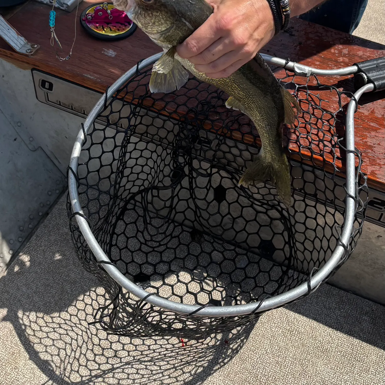 catch
