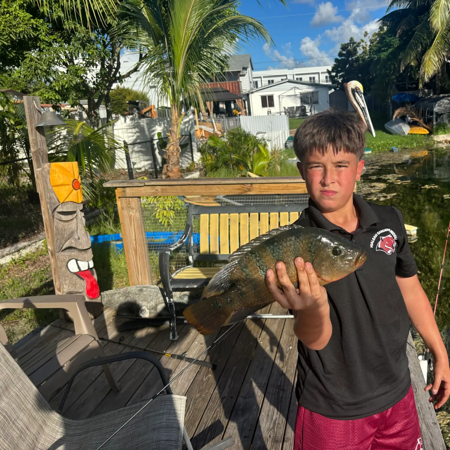 The most recent Mayan cichlid catches on Fishbrain
