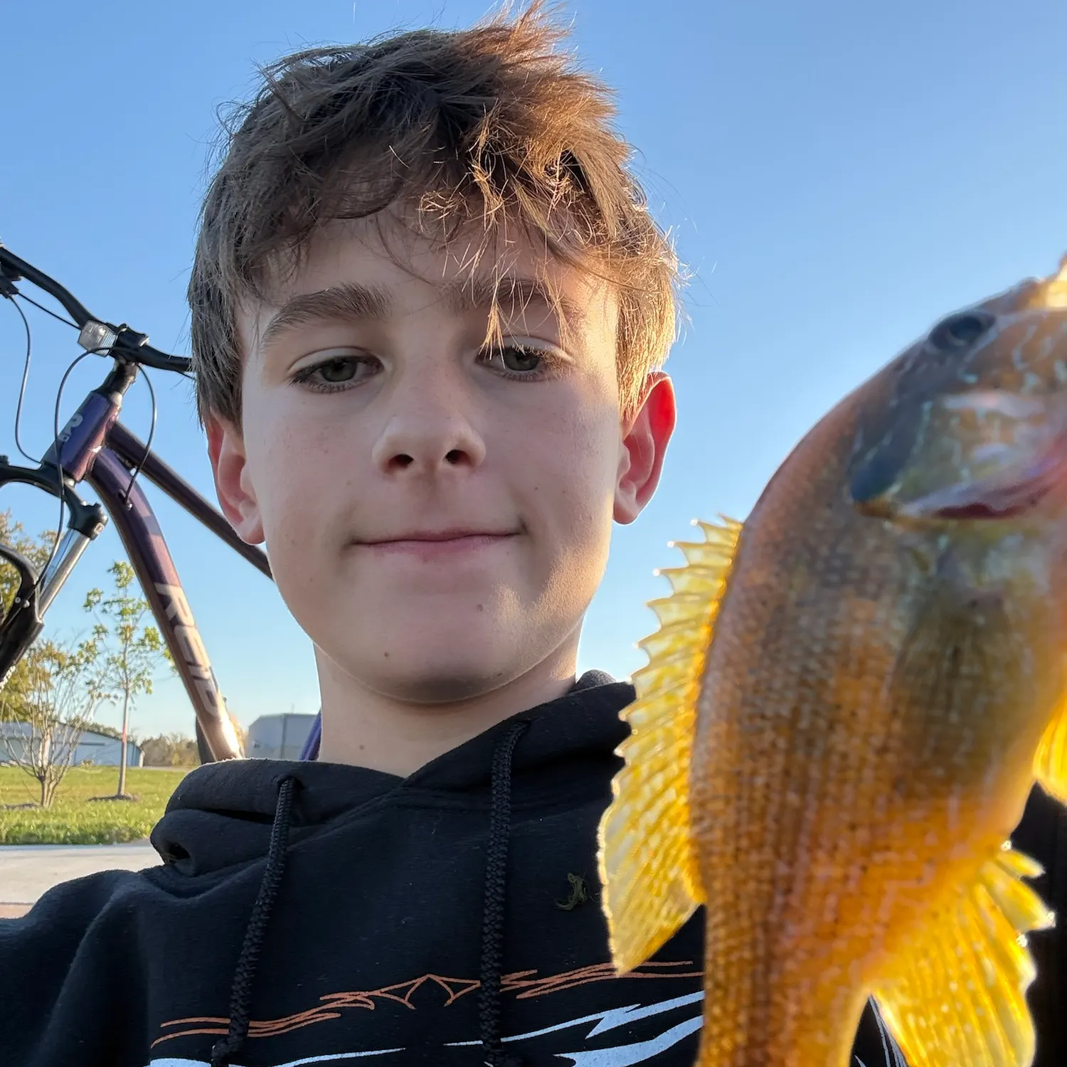 Green sunfish caught on Fishbrain