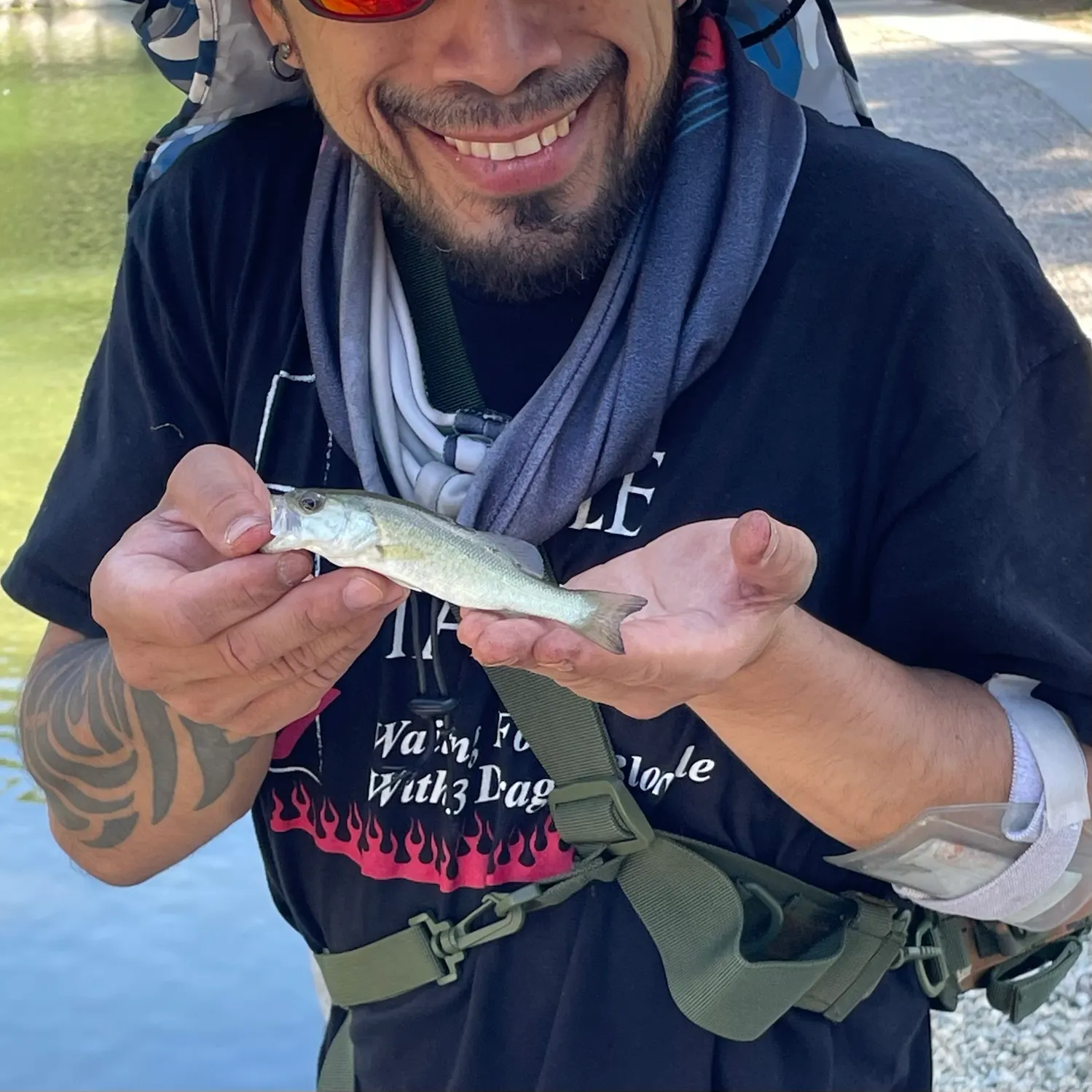 Largemouth bass caught on Fishbrain