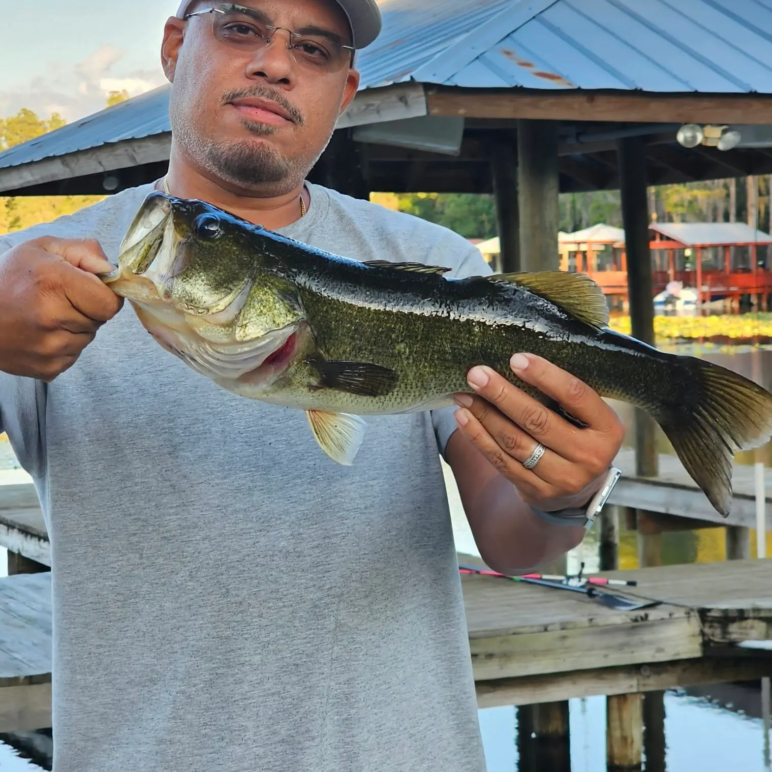 Largemouth bass caught on Fishbrain