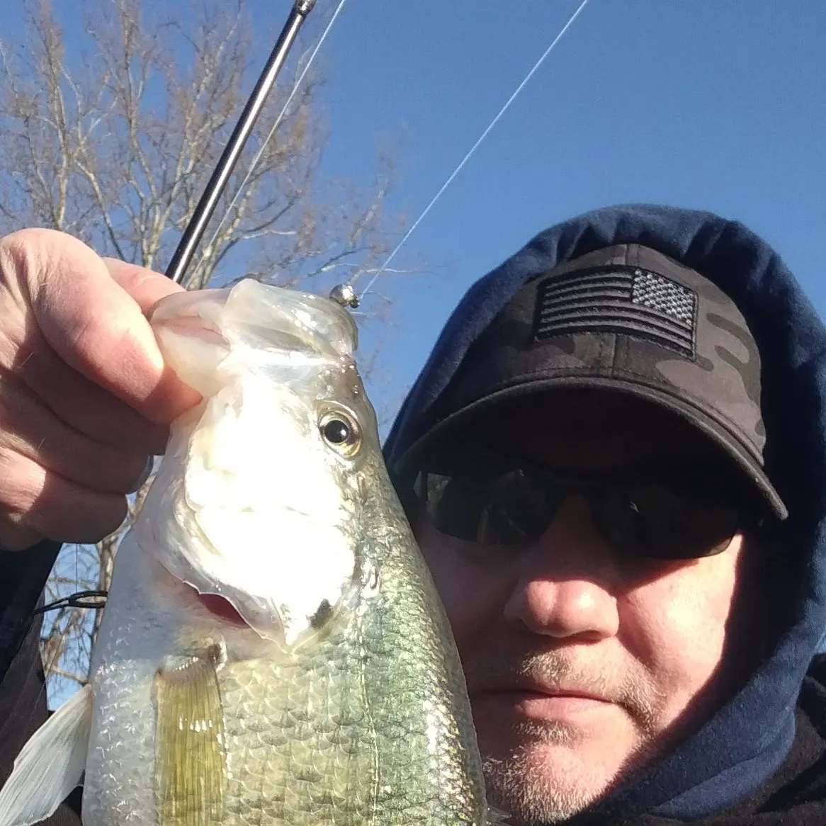 The most recent White crappie catches on Fishbrain