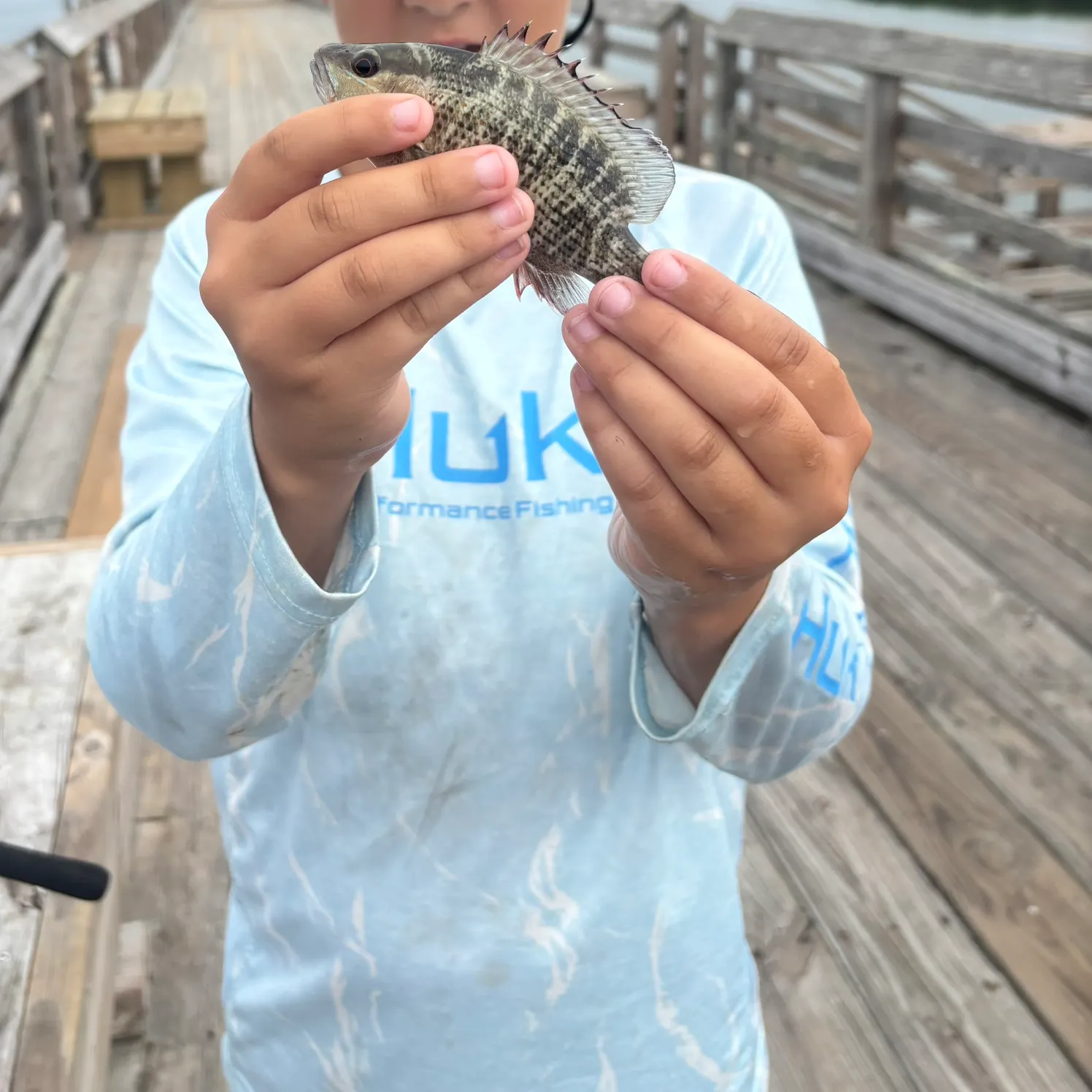 Fish caught on Fishbrain