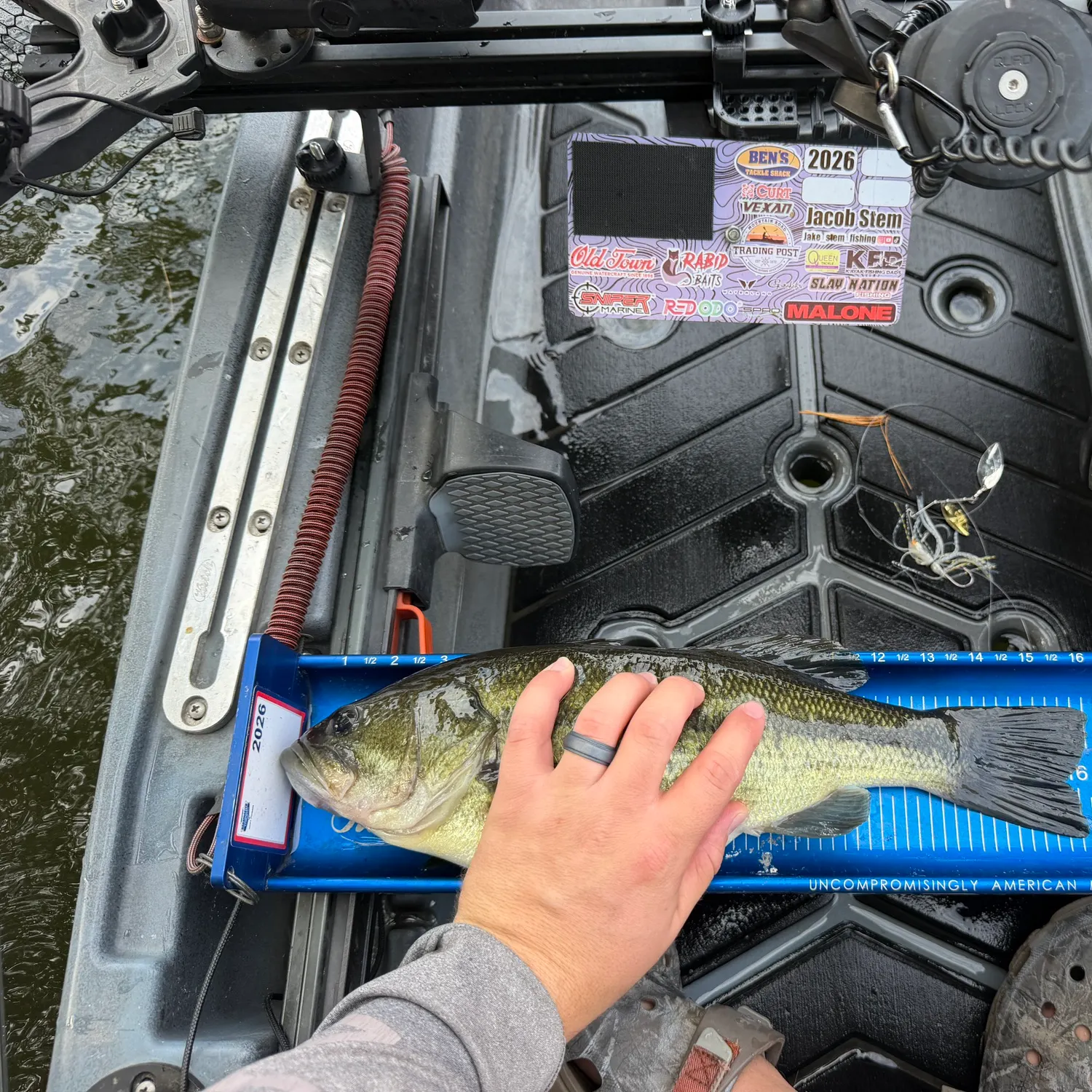 Largemouth bass caught on Fishbrain