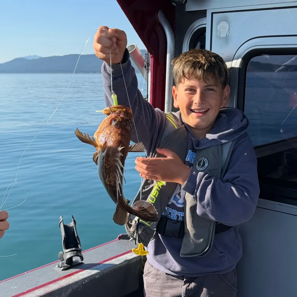 The most recent Quillback rockfish catches on Fishbrain