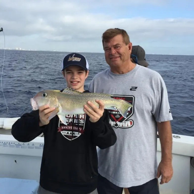 The most recent Great northern tilefish catches on Fishbrain