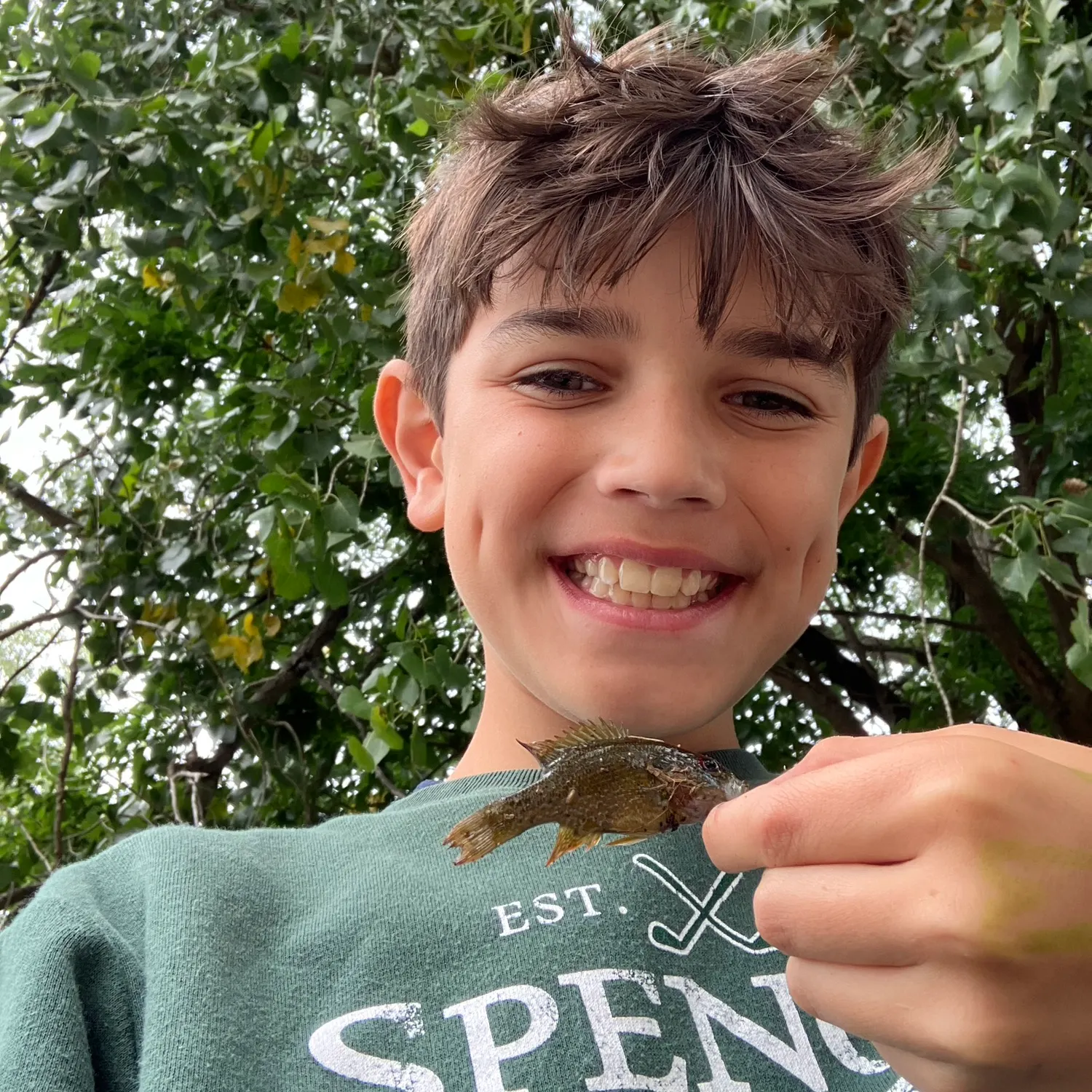Pumpkinseed caught on Fishbrain