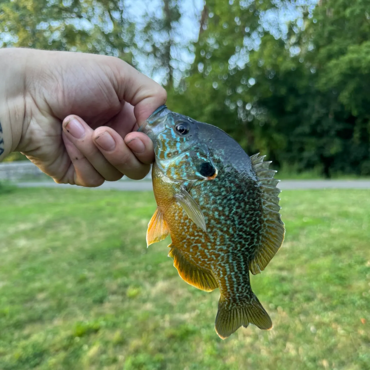 catch