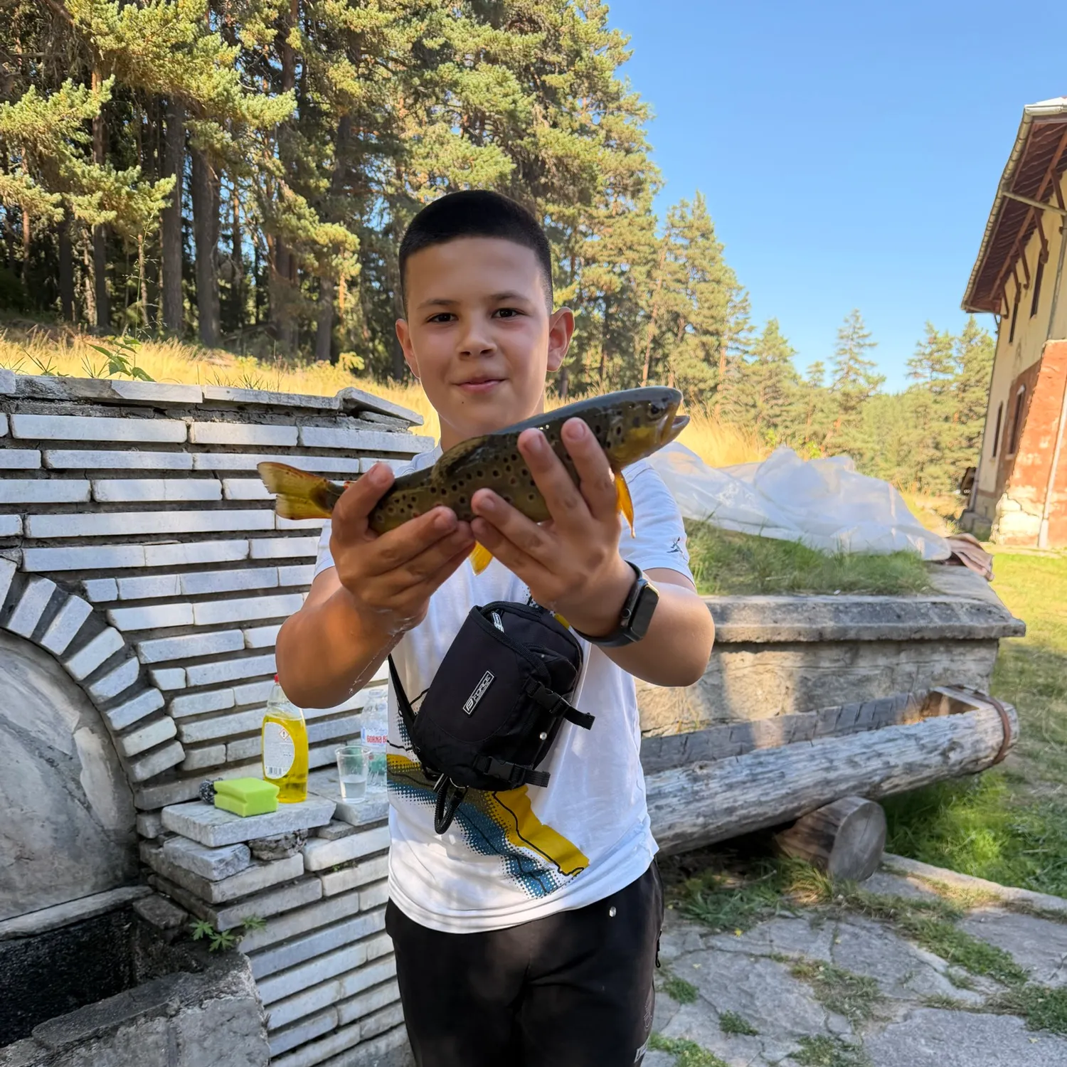 Brown trout caught on Fishbrain