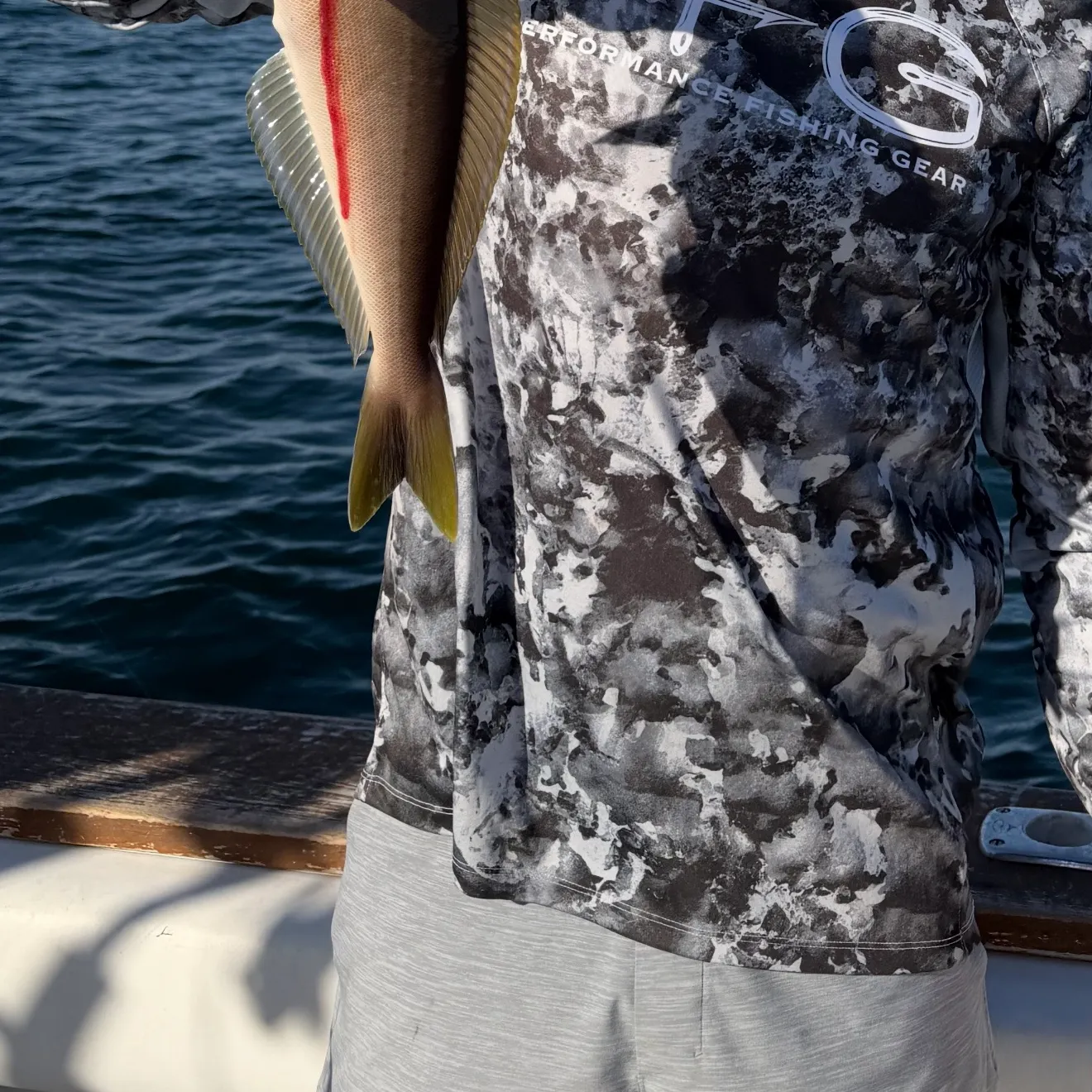 The most recent Ocean whitefish catches on Fishbrain