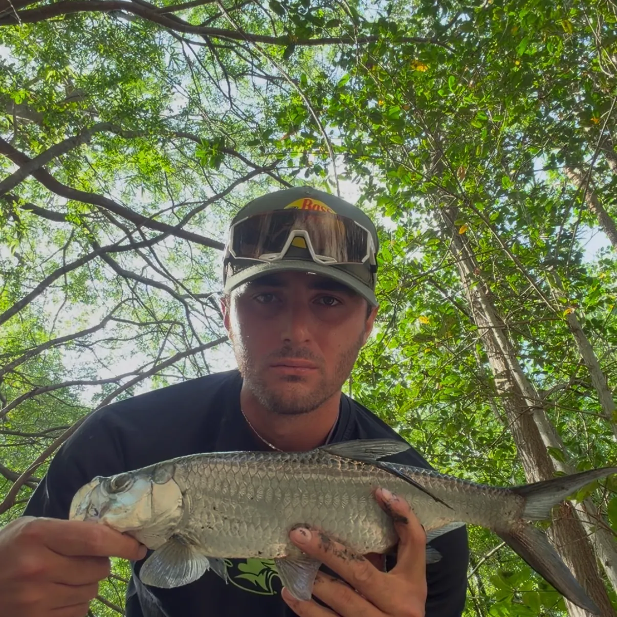 The most recent Tarpon catches on Fishbrain