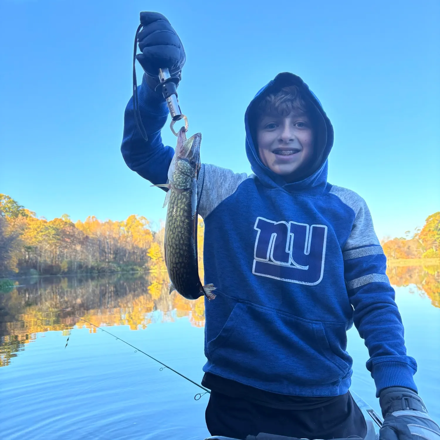Chain pickerel caught on Fishbrain