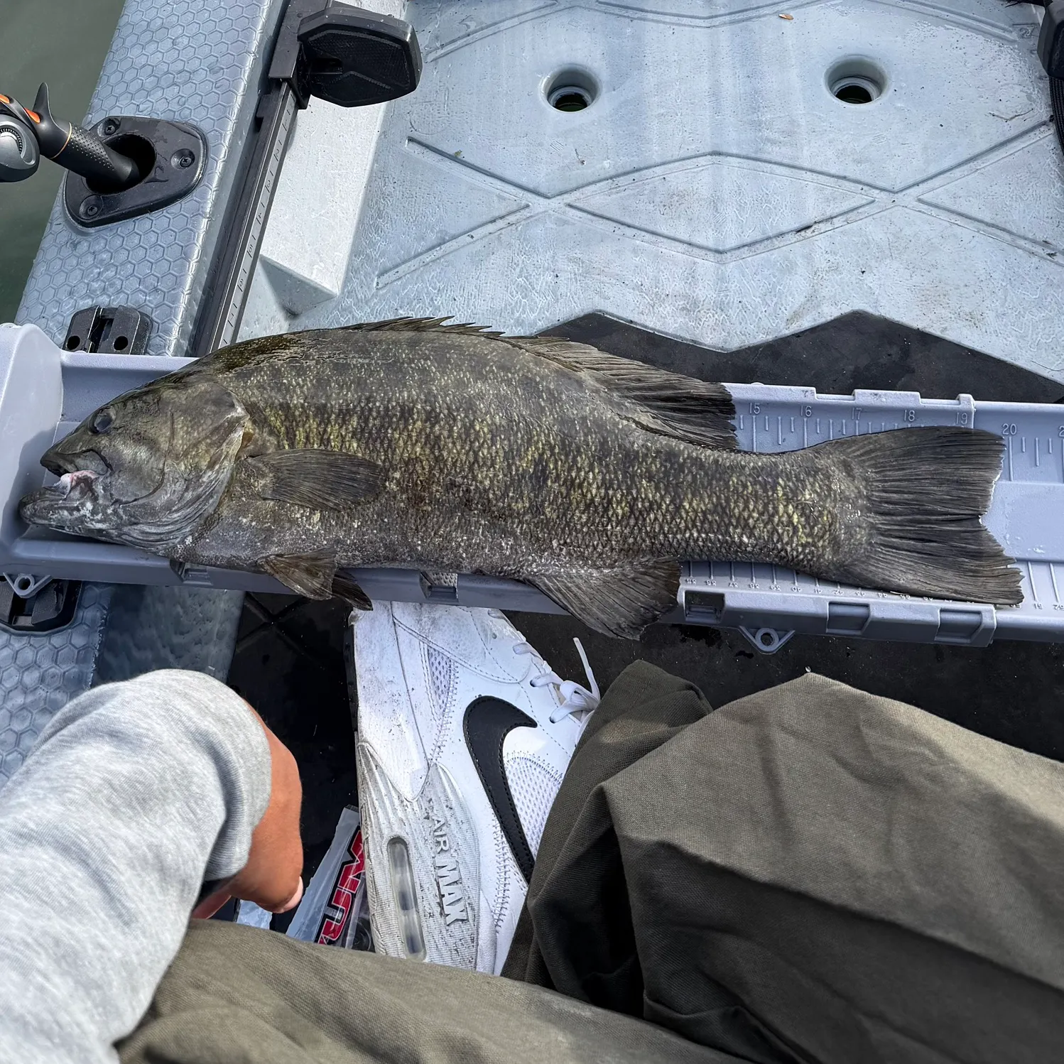 Smallmouth bass caught on Fishbrain