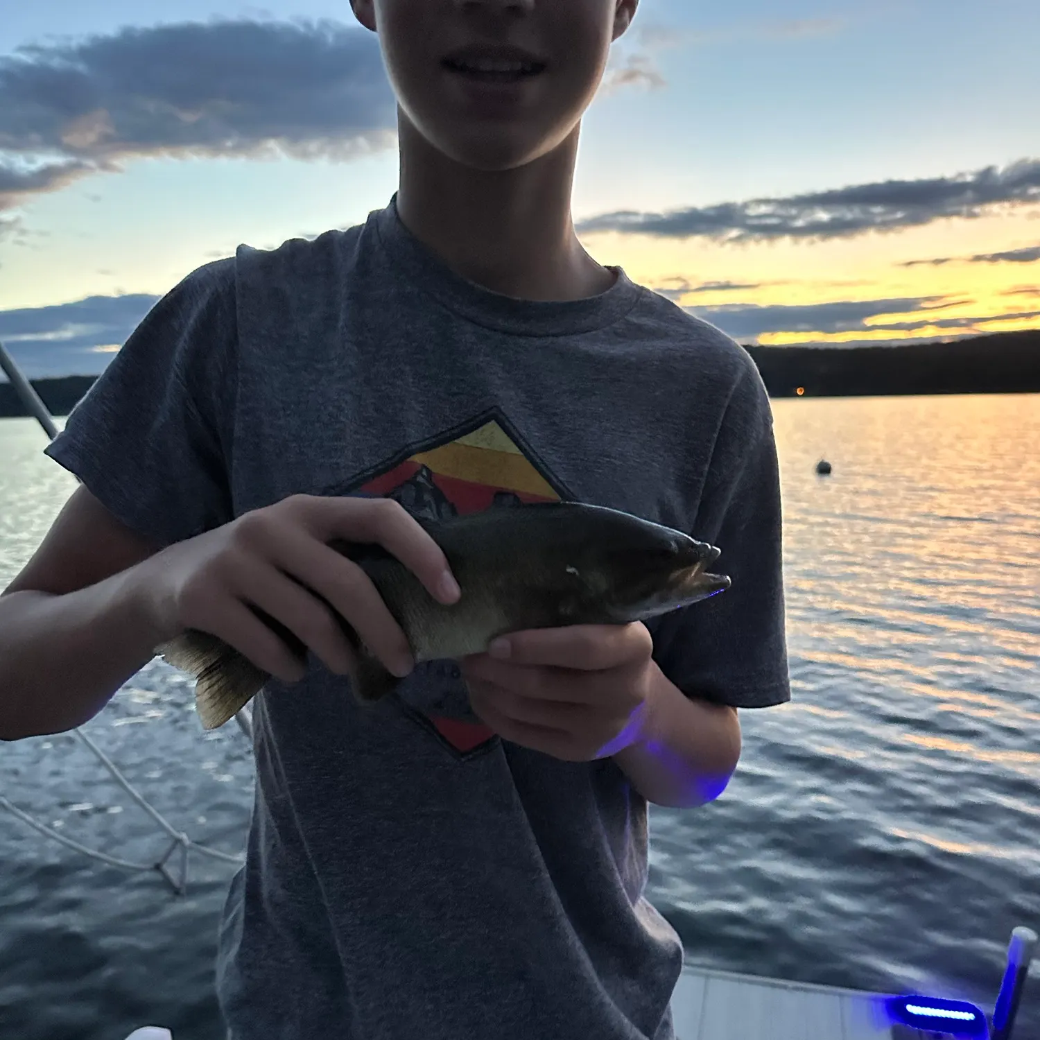 Smallmouth bass caught on Fishbrain