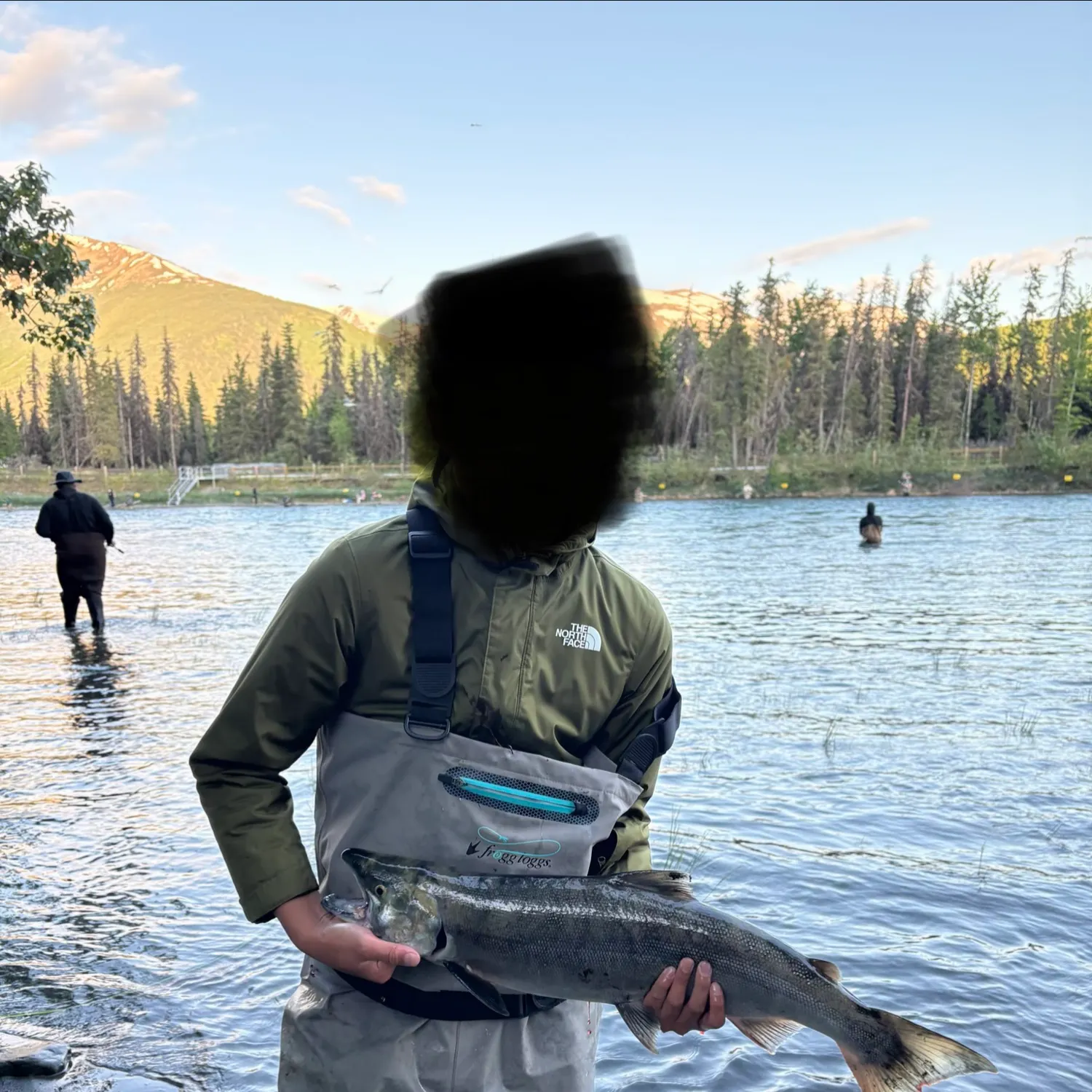The most recent Sockeye salmon catches on Fishbrain