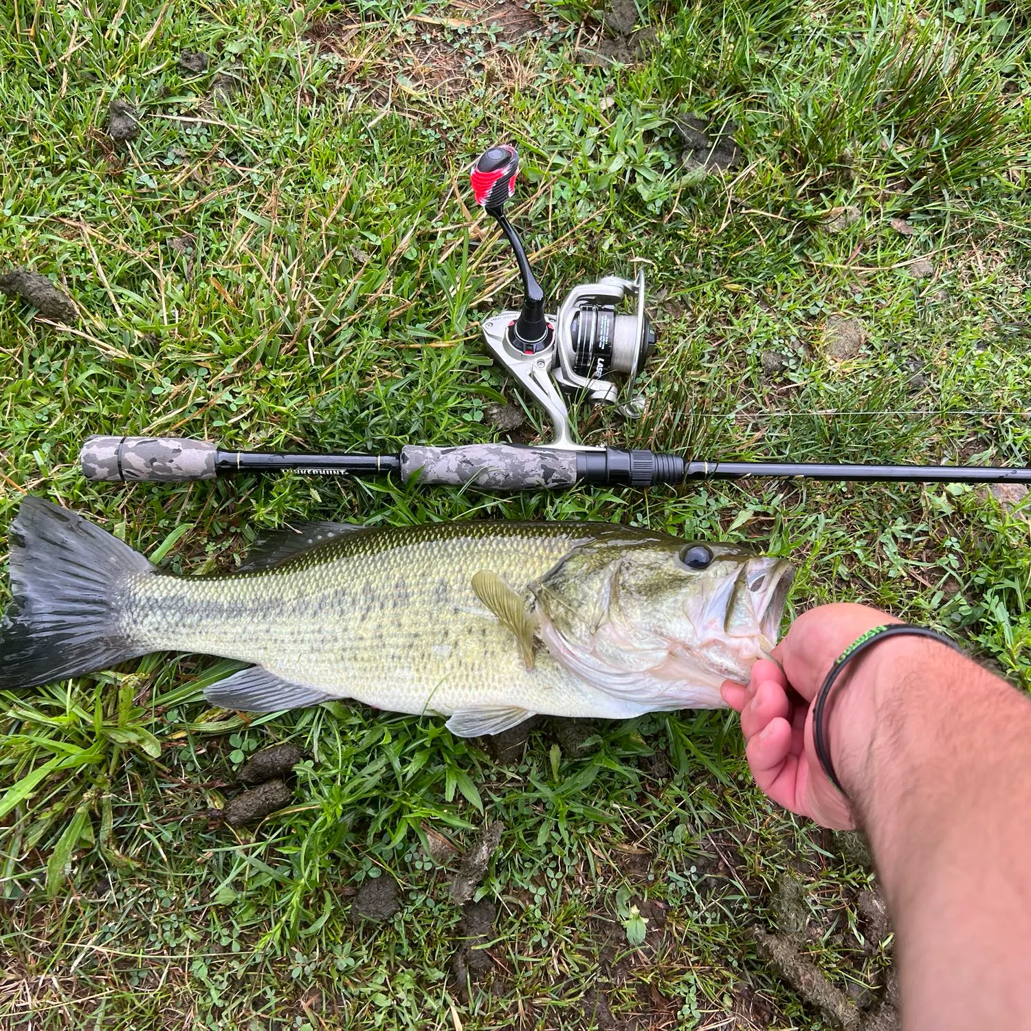 angler catch