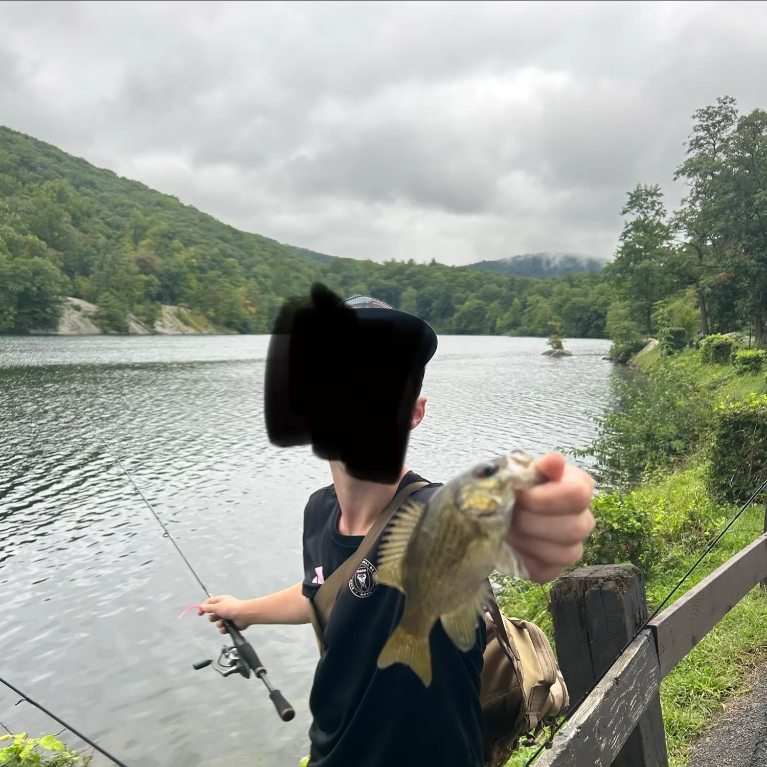 Rock bass caught on Fishbrain