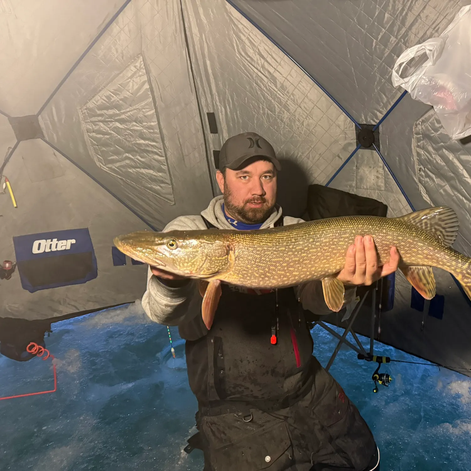 The most recent Northern pike catches on Fishbrain