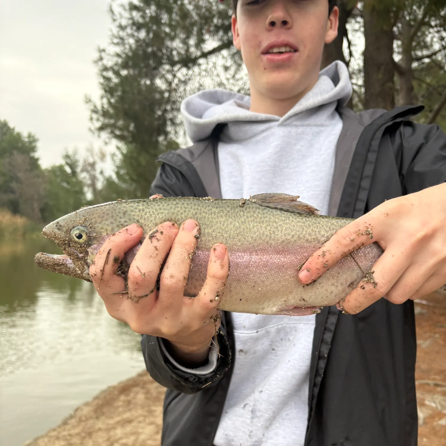 The most recent Rainbow trout catches on Fishbrain