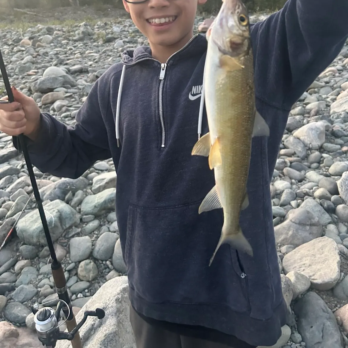 Mountain whitefish caught on Fishbrain