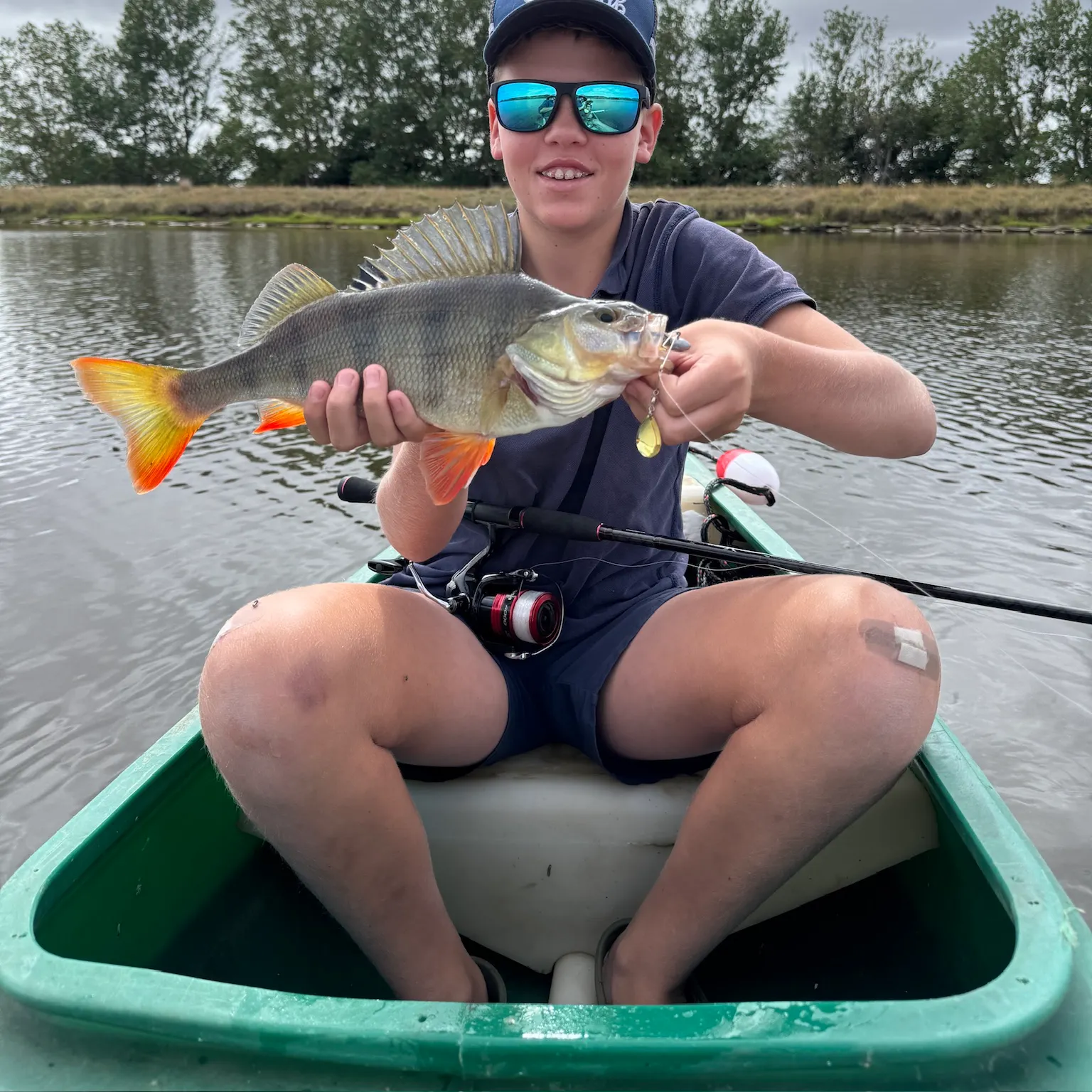 The most recent European perch catches on Fishbrain