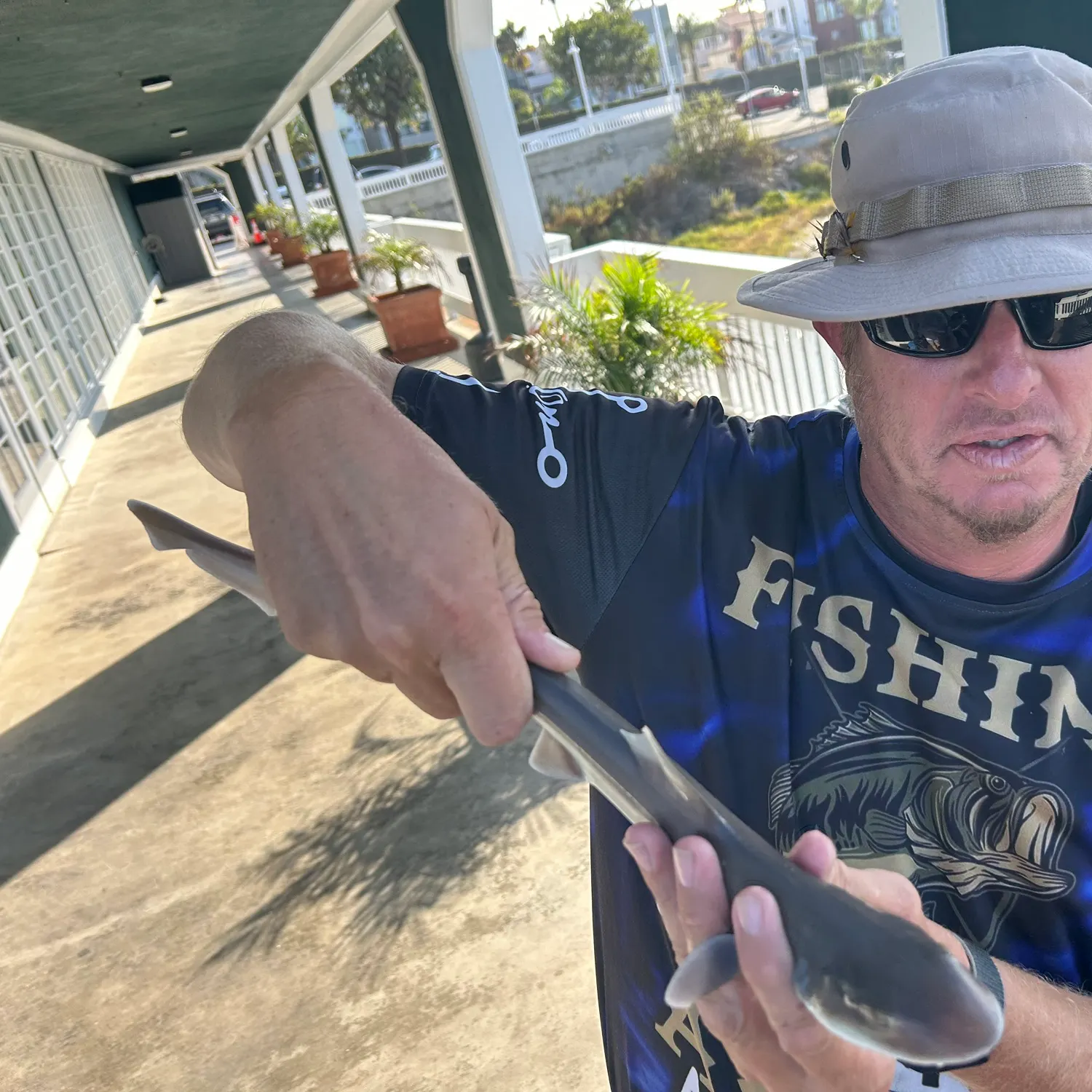 The most recent Grey smooth-hound catches on Fishbrain
