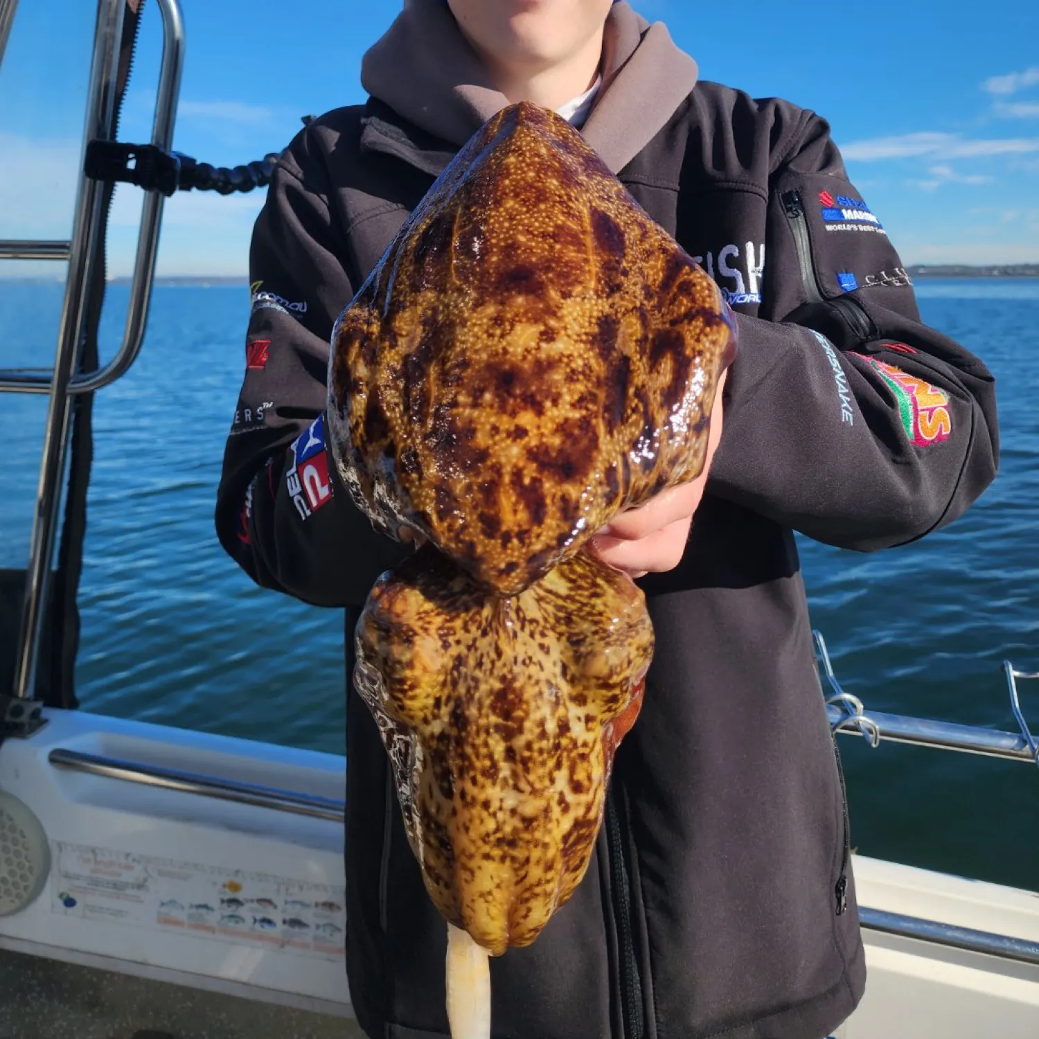 The most popular recent Common cuttlefish catch on Fishbrain