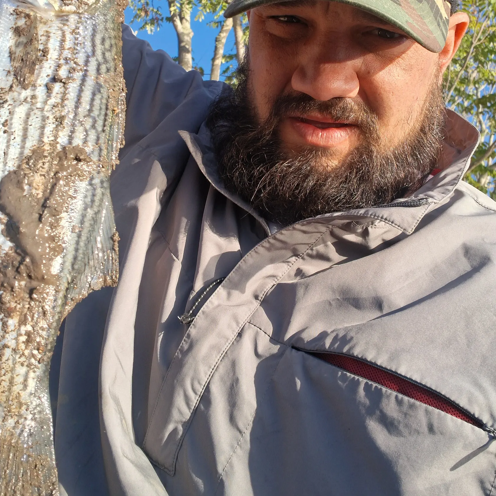 Striped bass caught on Fishbrain