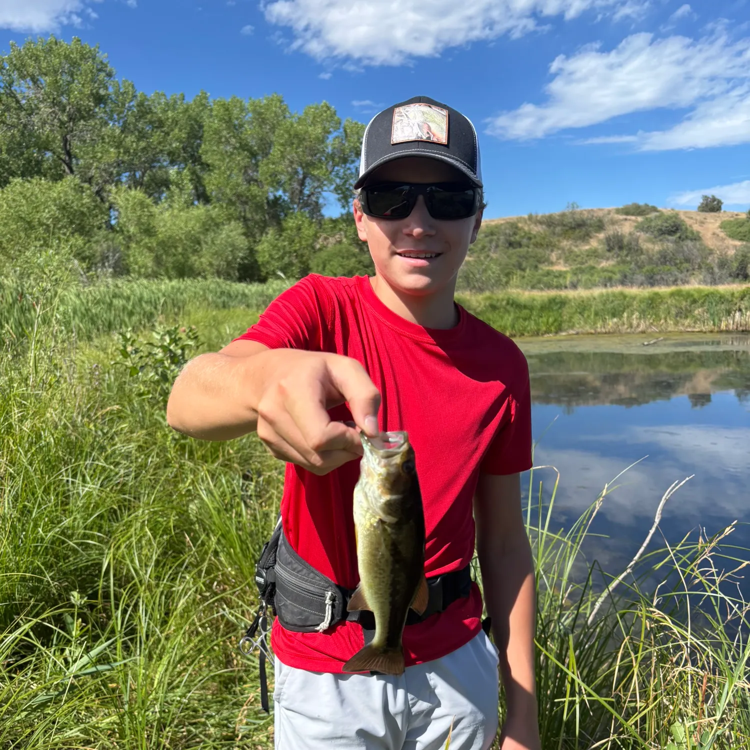 Largemouth bass caught on Fishbrain