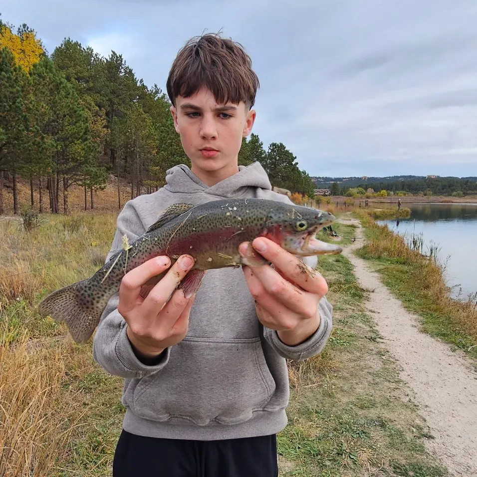 Rainbow trout caught on Fishbrain