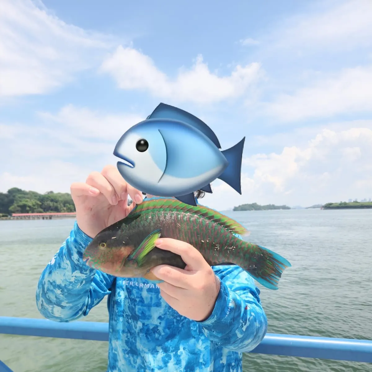 The most recent Rivulated parrotfish catches on Fishbrain