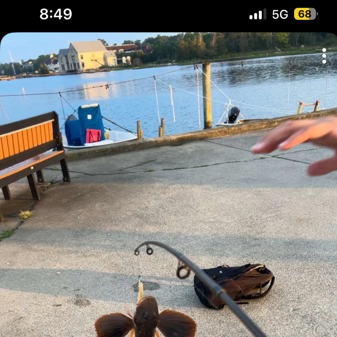 recently logged catches