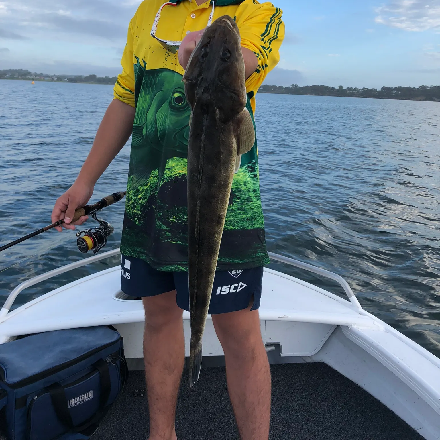 The most recent Dusky flathead catches on Fishbrain