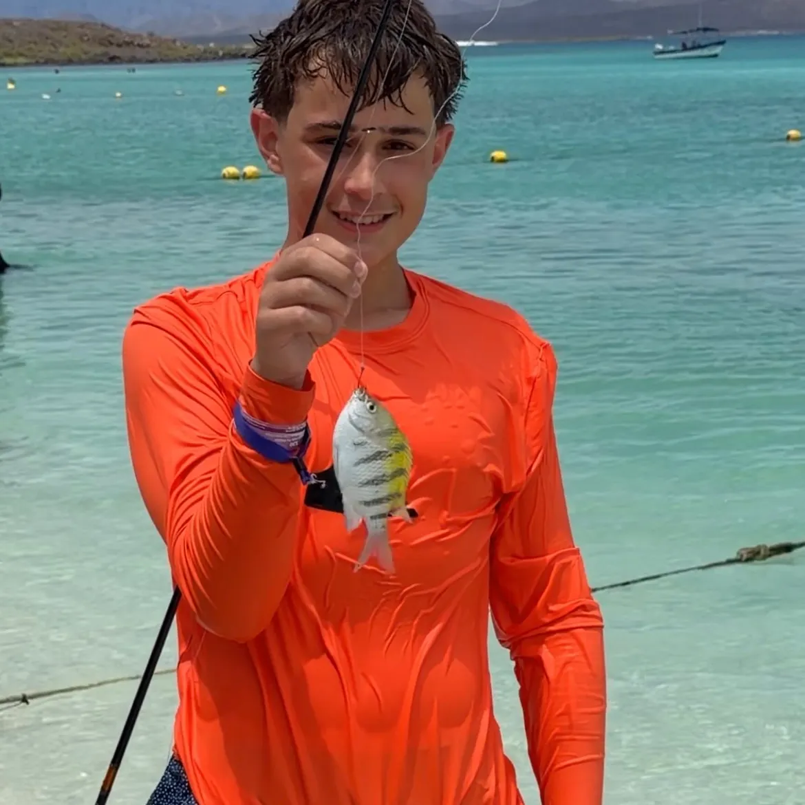 The most recent Sergeant-major catches on Fishbrain